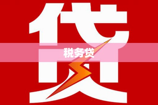 双滦税务贷