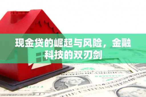 双滦现金贷的崛起与风险，金融科技的双刃剑