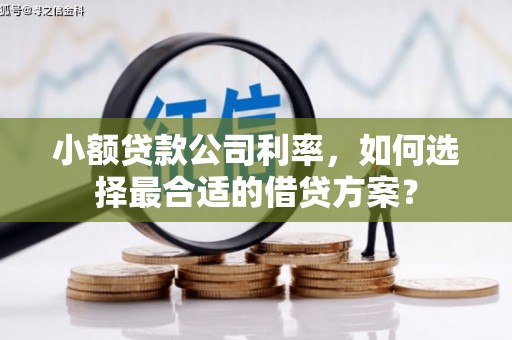 双滦小额贷款公司利率，如何选择最合适的借贷方案？