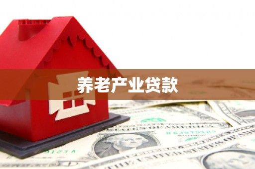 双滦养老产业贷款