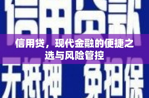 双滦信用贷，现代金融的便捷之选与风险管控