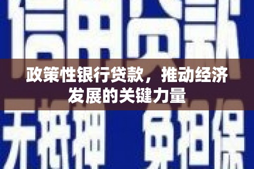 双滦政策性银行贷款，推动经济发展的关键力量