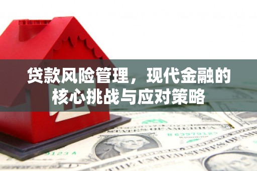 双滦贷款风险管理，现代金融的核心挑战与应对策略