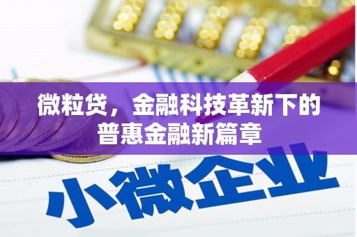 双滦微粒贷，金融科技革新下的普惠金融新篇章