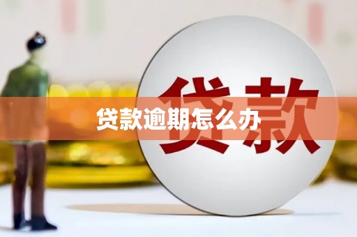 双滦贷款逾期怎么办