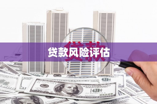双滦贷款风险评估