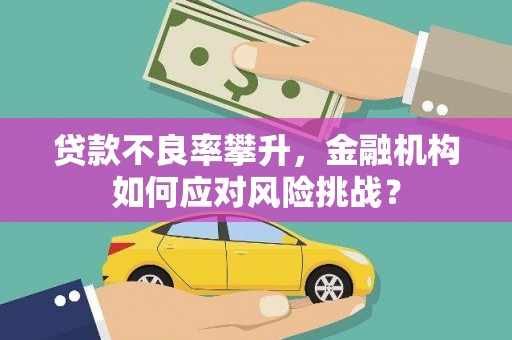 双滦贷款不良率攀升，金融机构如何应对风险挑战？