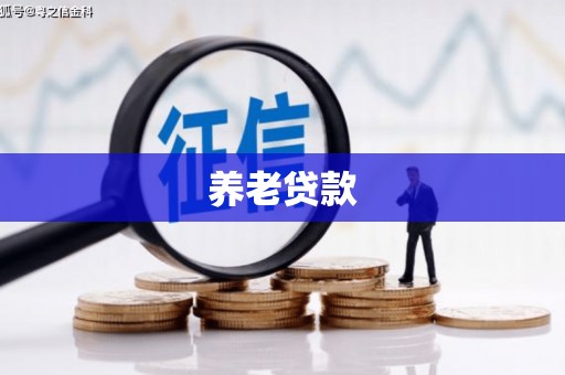 双滦养老贷款