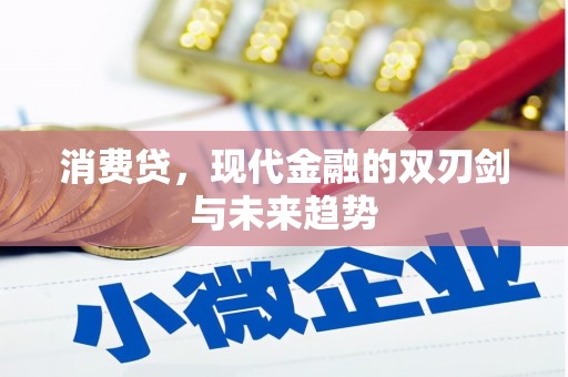 双滦消费贷，现代金融的双刃剑与未来趋势