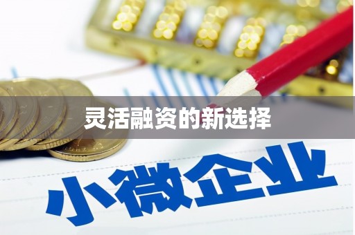 双滦灵活融资的新选择