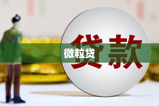 双滦微粒贷