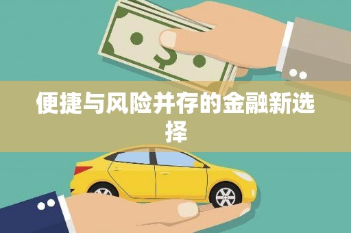 双滦便捷与风险并存的金融新选择