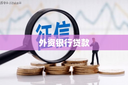 双滦外资银行贷款