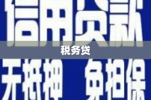 双滦税务贷