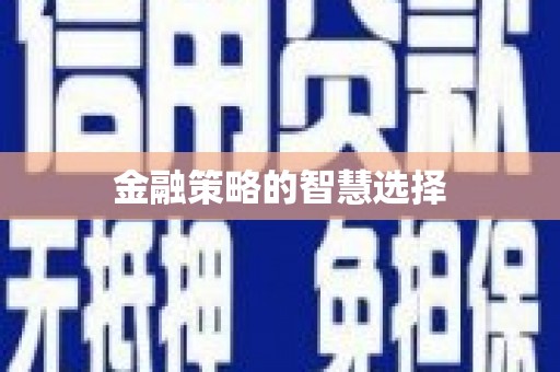 双滦金融策略的智慧选择