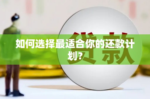 双滦如何选择最适合你的还款计划？