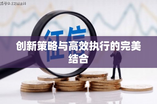 双滦创新策略与高效执行的完美结合