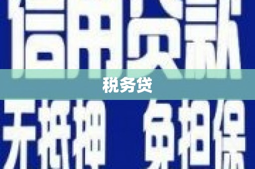 双滦税务贷